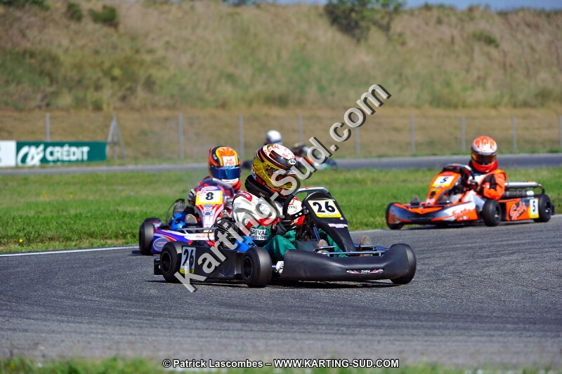 DSC_ (1312).jpg